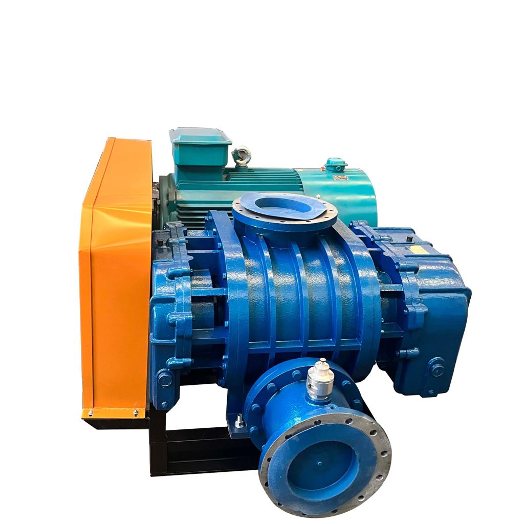 Twin-lobe roots blower package with motor and acoustic hood