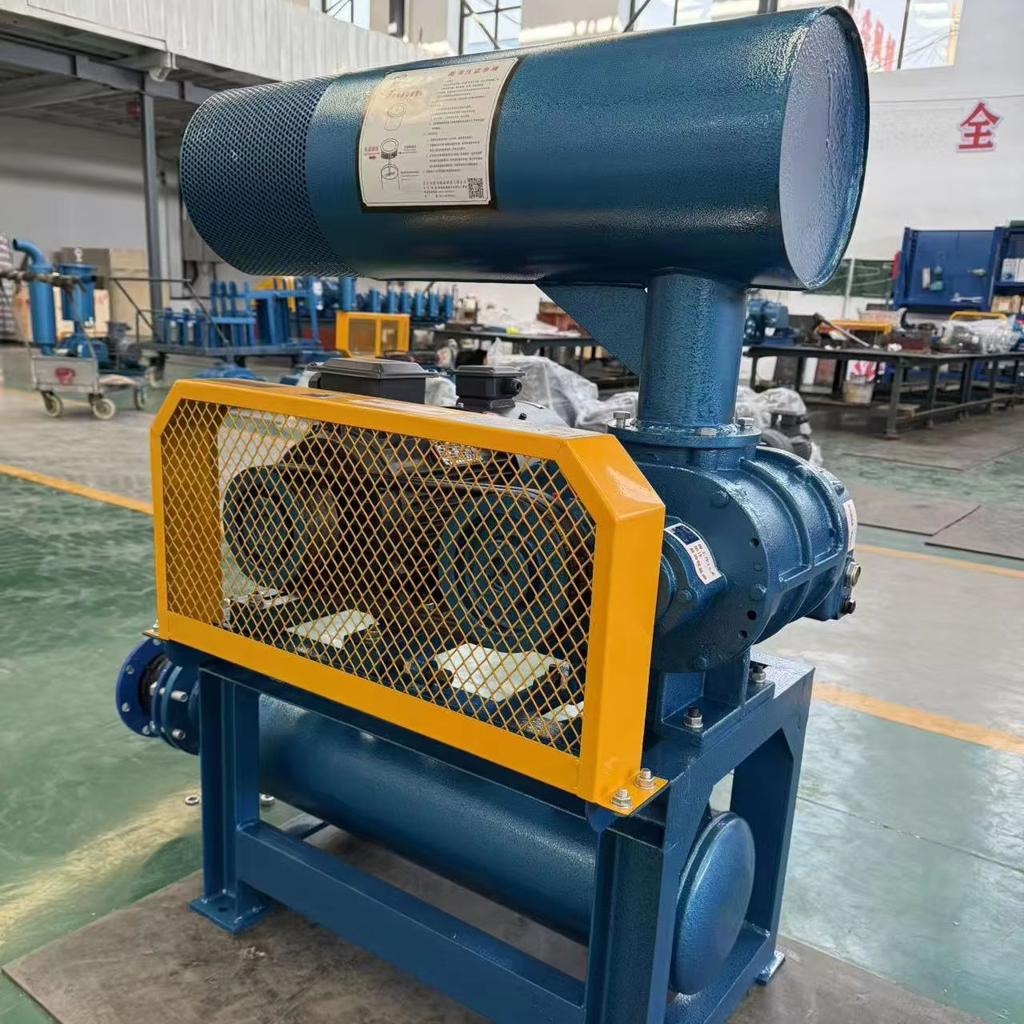 Roots blower rotor assembly